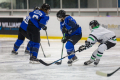 Dunedin Womans Thunder Vs Auckland Steel.