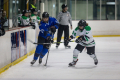 Dunedin Womans Thunder Vs Auckland Steel.