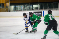 Dunedin Womans Thunder Vs Wakatipu Wild.