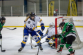 Dunedin Womans Thunder Vs Wakatipu Wild.