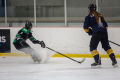 Dunedin Pheonix Thunder Vs West Auckland Admirals