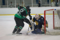 Dunedin Pheonix Thunder Vs West Auckland Admirals