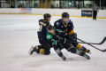 Dunedin Pheonix Thunder Vs West Auckland Admirals