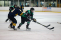 Dunedin Pheonix Thunder Vs West Auckland Admirals