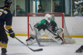 Dunedin Pheonix Thunder Vs West Auckland Admirals