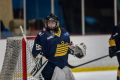 Dunedin Pheonix Thunder Vs West Auckland Admirals