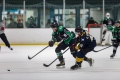 Dunedin Pheonix Thunder Vs West Auckland Admirals