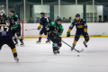 Dunedin Pheonix Thunder Vs West Auckland Admirals