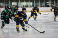 Dunedin Pheonix Thunder Vs West Auckland Admirals