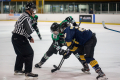 Dunedin Pheonix Thunder Vs West Auckland Admirals