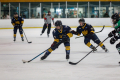 Dunedin Pheonix Thunder Vs West Auckland Admirals